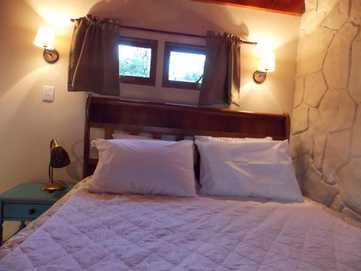 Loft Paraiso Em Sp *